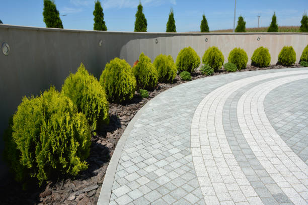 Best Affordable Driveway Paving  in Diboll, TX